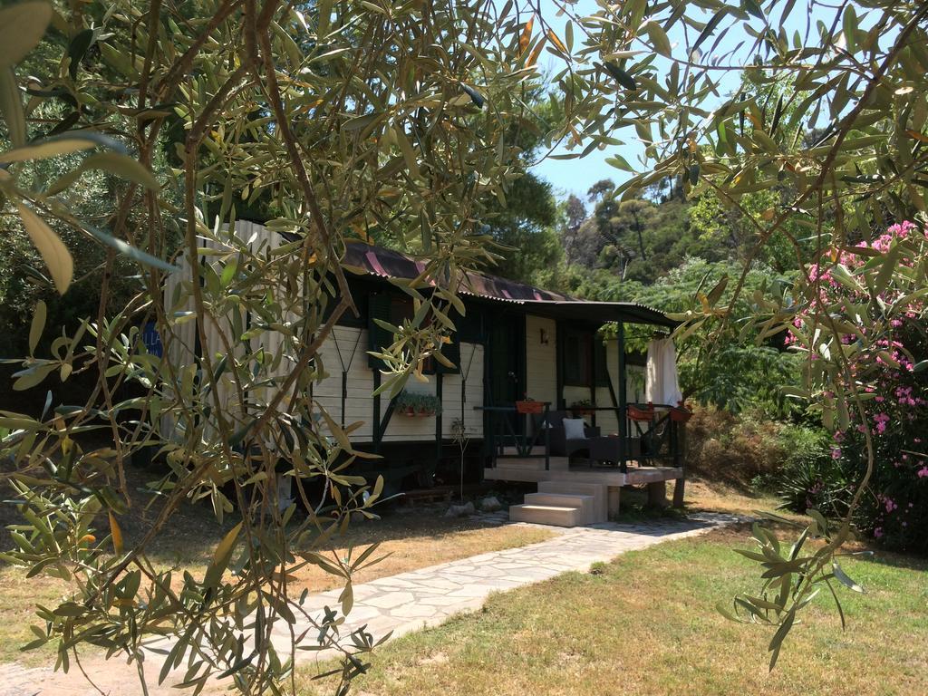 Apartment Rena Vourvourou