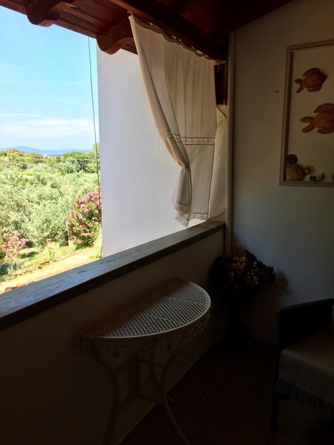 Apartment Rena Vourvourou